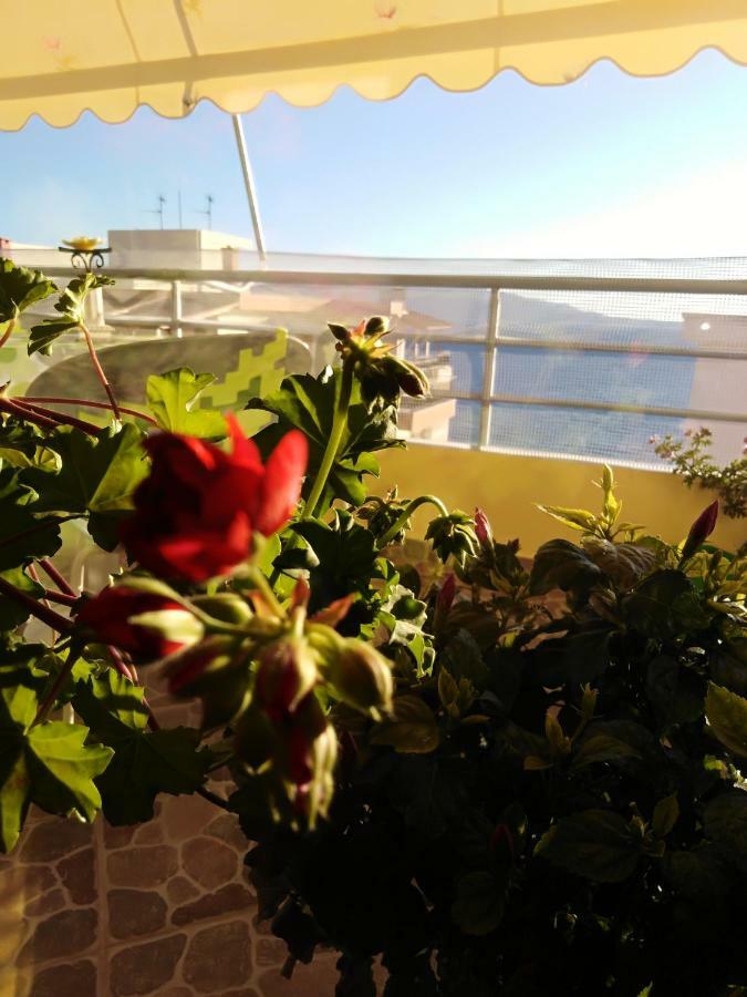 Down Town Luxury Apartment Sarandë Buitenkant foto